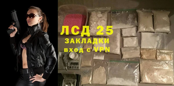 мяу мяу мука Аркадак