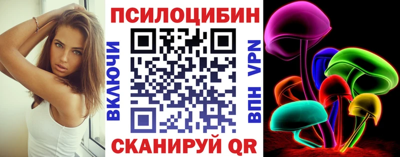 Псилоцибиновые грибы Cubensis  хочу   Сокол 